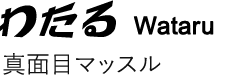 わたる　真面目マッスル