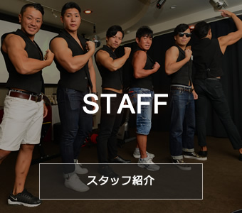 スタッフ紹介 STAFF